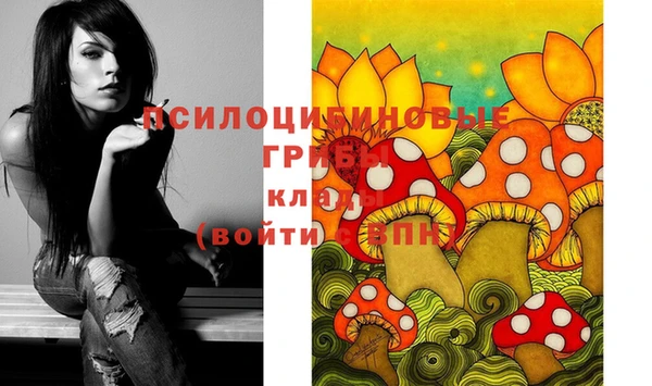 прущие грибы Алексин
