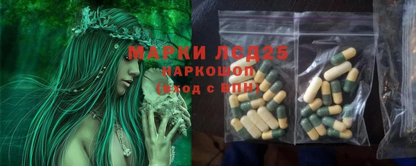 прущие грибы Алексин